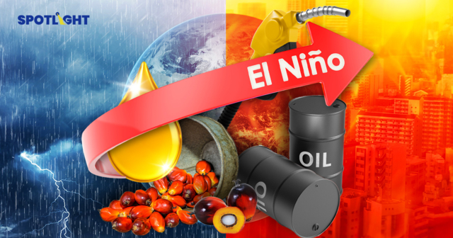 น้ำมันแพงเร่งรัฐดันประชาชนใช้B10-B20 แต่น้ำมันปาล์มเสี่ยงขาดจากเอลนีโญ