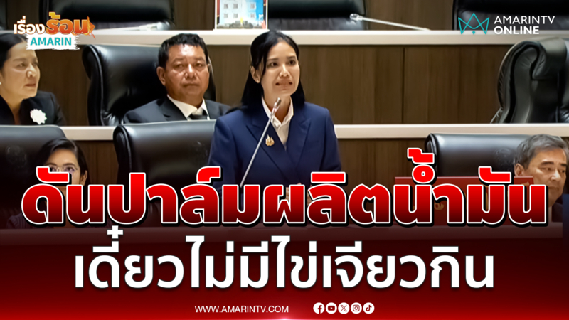 เนเน่เตือน ดันปาล์มผลิตน้ำมัน ระวังไม่มีไข่เจียวกิน 