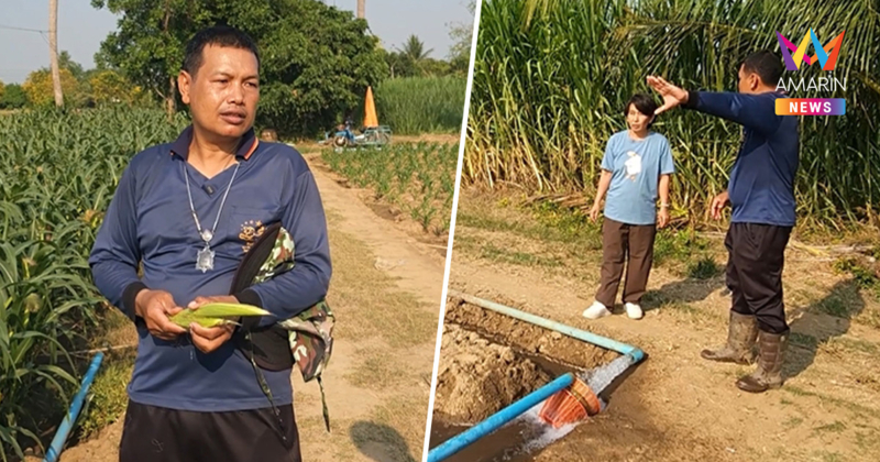 เกษตรกรโอด น้ำมันพุ่ง ทำชีวิตห่อเหี่ยว-ใจสั่น-ไร้แรงเหยียบคันเร่ง