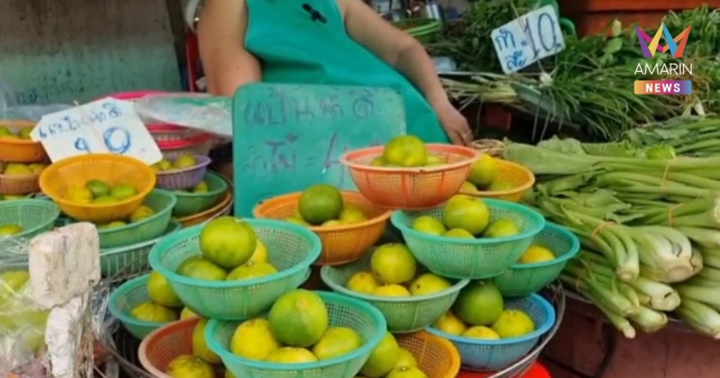วิกฤตน้ำมันแพง ทำราคาผักสดพุ่ง มะนาว แตะลูกละ 7-8 บาท