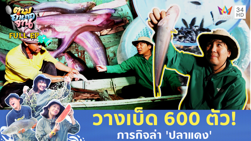 วางเบ็ดราวหา 'ปลาแดง' อ.เมือง จ.นครสวรรค์