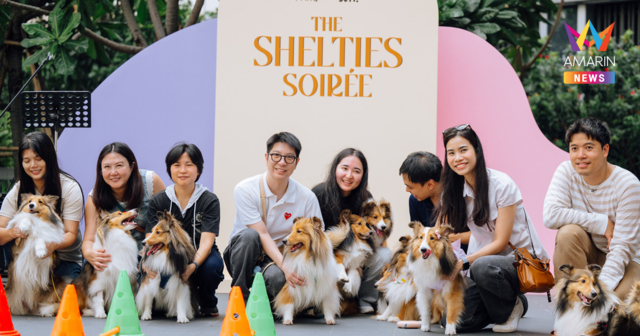 มากกว่าพื้นที่ แต่คือโมเมนต์ดีๆ เดอะ ปาร์ค รวมพลเชลตี้ ในงาน“The Shelties Soirée” เติมเต็ม Pet-Friendly Community ใจกลางเมือง