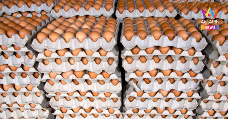 พรุ่งนี้ขึ้นแน่! ปรับขึ้นราคา "ไข่ไก่" คละหน้าฟาร์ม 3.60 บาทต่อฟอง