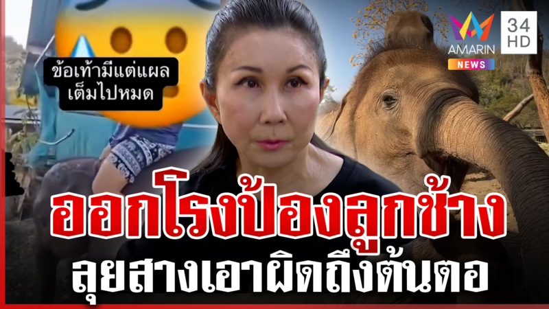 "หนูนา" ออกโรงป้องลูกช้าง ถูกพรากลูกพรากแม่-เตรียมลุยสางถึงต้นตอ