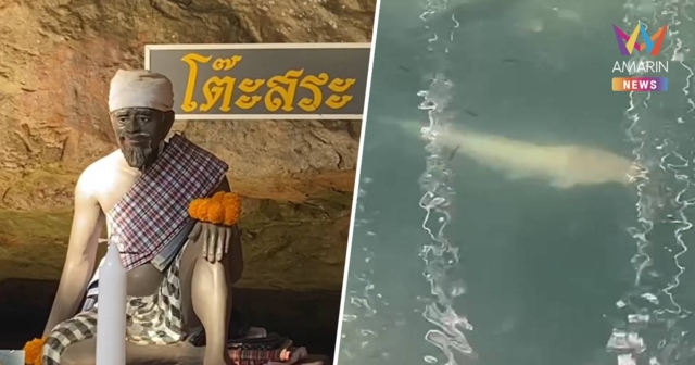 ฮือฮา! ปลาดุกเผือก โผล่ใกล้พิธีบวงสรวง โต๊ะสระ นักสี่ยงโชคไม่ผลาดตีเลข