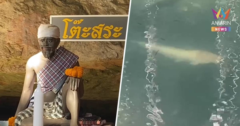 ฮือฮา! ปลาดุกเผือก โผล่ใกล้พิธีบวงสรวง โต๊ะสระ นักสี่ยงโชคไม่ผลาดตีเลข