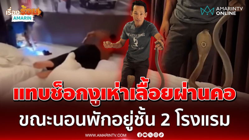 แทบช็อก! นักท่องเที่ยวขวัญผวา งูเห่าเลื้อยผ่านคอ ขณะนอนพักอยู่ชั้น 2