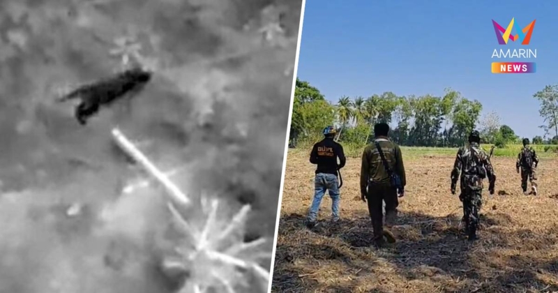 ตัวอะไรกันแน่! สัตว์ปริศนาบุกฉีกต้นกล้วยใช้โดรนจับภาพเคลื่อนไหวรวดเร็ว