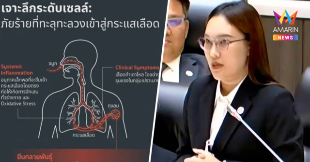 สส.เชียงใหม่แฉ PM 2.5 ทำคนตายพุ่ง700ศพ จี้ประกาศภัยพิบัติทั้งจังหวัด