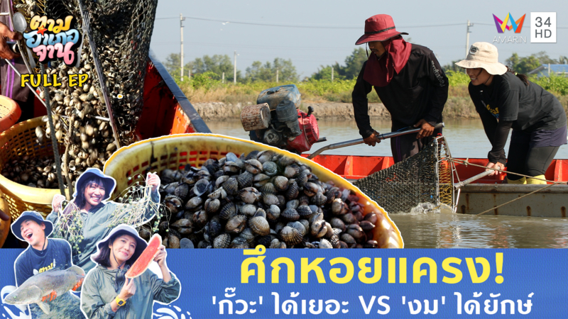 ลุยเลนคลองโคน! สะบัด "ชะเนาะ" กั๊วะหอยแครงแบบตัวแม่ 