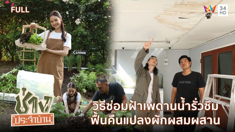 วิธีซ่อมฝ้าเพดานน้ำรั่วซึม ผนังร้าว และฟื้นคืนแปลงผักผสมผสาน