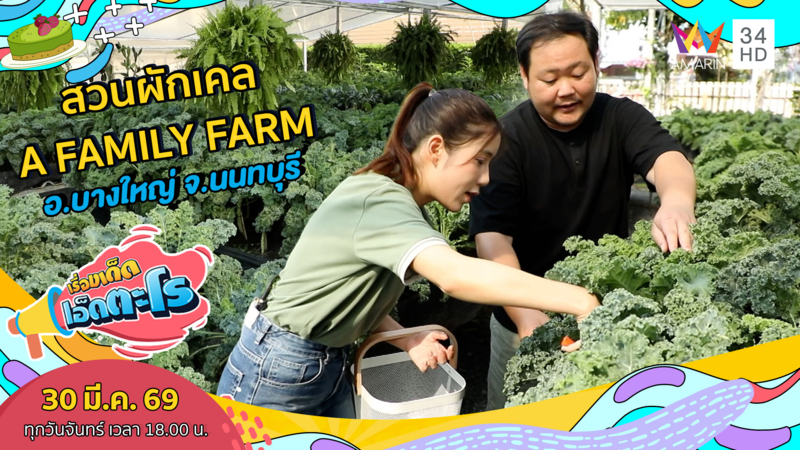 สวนผักเคล A FAMILY FARM อ.บางใหญ่ จ.นนทบุรี