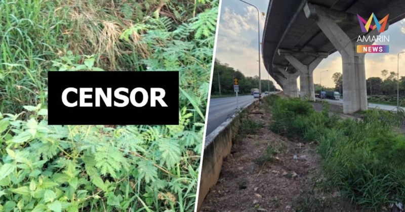 ด่วน! พบศพ “ชมพูนุท” คาดจบชีวิตหนีความผิด คดียิงโฟร์แมนหนุ่มคา M6