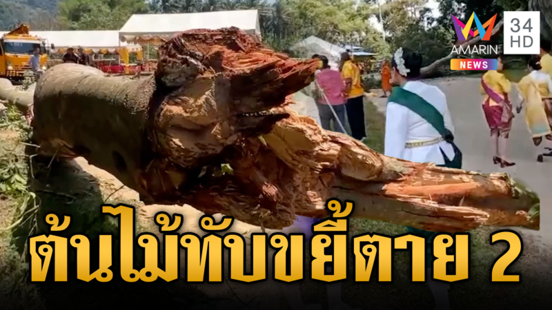 สลดกลางงานประจำปี ต้นไม้หักทับเต็นท์ตาย 2 ศพ เจ็บ 8 ราย