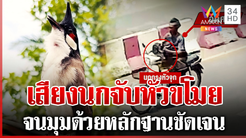 ไม่รอด! โจรลักนกกรงหัวจุก นกร้องจำเจ้าของได้จนได้คืน