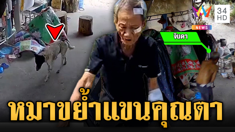 อากาศร้อนหมาบ้า กัดจมเขี้ยวคุณตาเจ็บหนัก