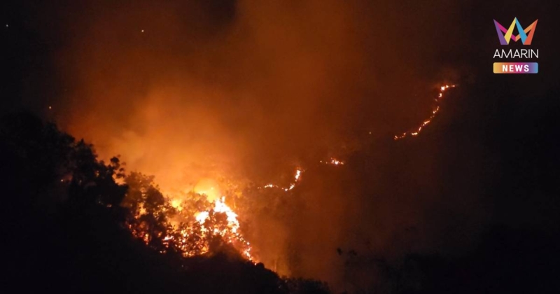 ไฟป่ายังแรง! ล่าสุดลามถึง วัดพระธาตุดอยสุเทพ ชาวบ้านต้องช่วยกันดับวุ่น