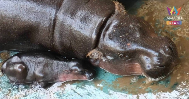 ทส. เผยข่าวดี! 