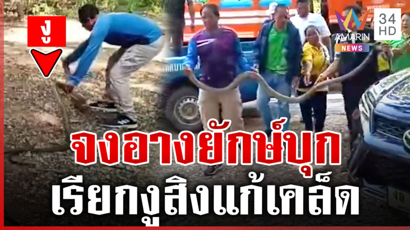 ผวาจงอางยักษ์บุกห้องทำงาน ชาวบ้านเผยเหตุผลบอกจับงูสิง