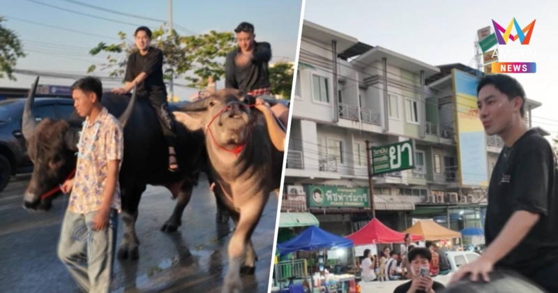 หนุ่มหล่อขี่ควายเล่นสงกรานต์บางแสน สร้างสีสันประหยัดน้ำมันคนแห่ถ่ายรูป