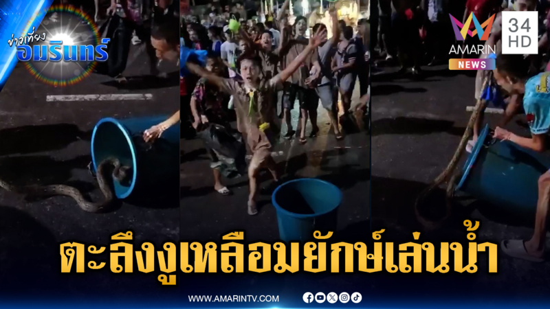 งูเหลือมยักษ์โผล่ร่วมเล่นน้ำ เจอหนุ่มลูกเสือจับใส่ถัง