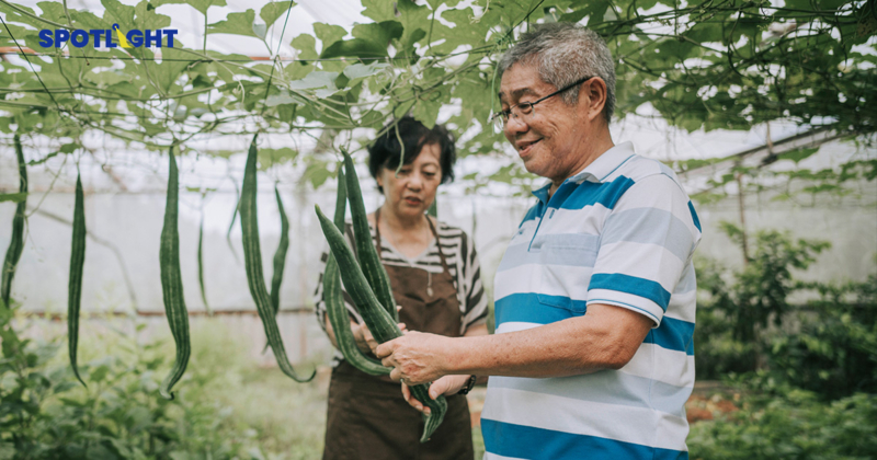 วางแผนการเงินเพื่อเกษียณ ด้วย 5 กลยุทธ์สร้างรายได้หลังเกษียณ