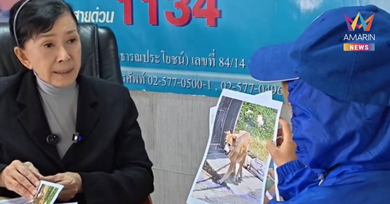 สลด! เด็ก 9 ขวบเคราะห์ร้ายถูกหมาบางแก้วกัดอัณฑะฉีก-คดีไม่คืบ