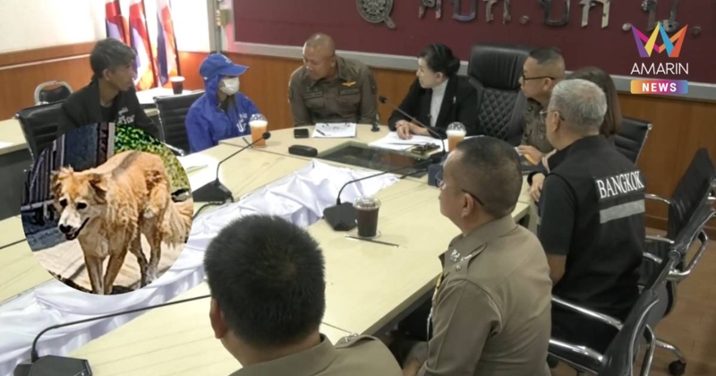 ตร.ดอนเมืองเอาจริงคดีบางแก้วกัดเด็ก ออกหมายเรียกเจ้าของหมาแล้ว