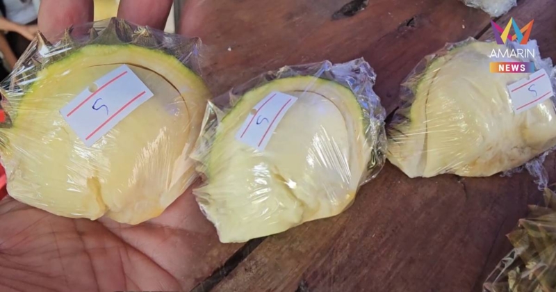 ฮือฮา! ทุเรียน พูละ 5 บาท เอาใจคนงบน้อย ลูกค้าแห่ซื้อแน่น