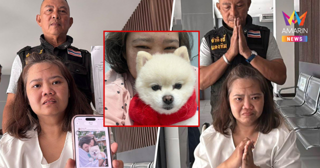 จบดรามาเรียกเงินแสน! เตรียมคืน น้องกะทิ ให้เจ้าของสโตรกบ่าย3โมงวันนี้