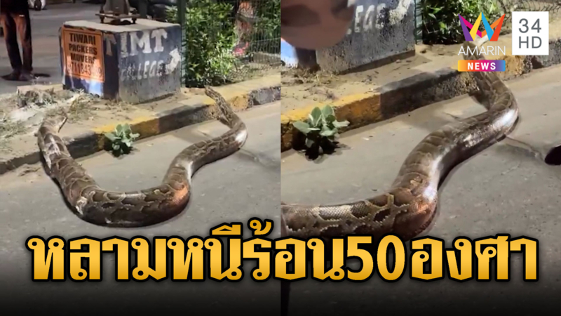 อินเดียหลามยักษ์หนีร้อน อุณหภูมิพุ่งเฉียด50องศา