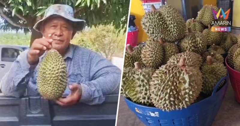 ชาวสวนเศร้า "ทุเรียน 100 บาท" ทำขาดทุนยับ หวั่นซ้ำรอยอดีตโค่นต้นทิ้ง