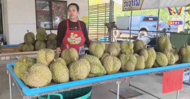 ฮือฮา! แม่ค้าทุเรียนใจป้ำ จัดโปรฯ “ซื้อทุเรียนลุ้นทอง 1 สลึง”