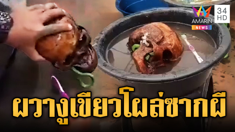 ตื่น!พิธีล้างป่าช้า งูเขียวโผล่จากหัวกระโหลก