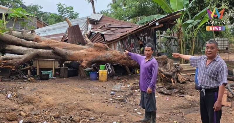พายุฤดูร้อนถล่ม 4 อำเภอ จ.ชัยภูมิ บ้านเรือน - สวนทุเรียนโอโซน เสียหาย