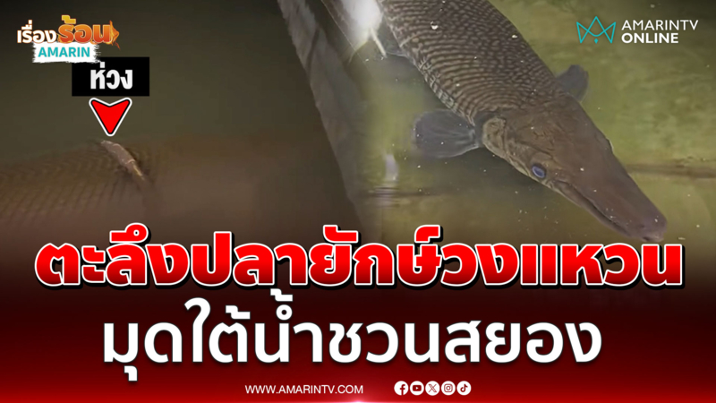 ชาวบ้านตะลึงปลายักษ์ปริศนา มีห่วงคล้องติดอยู่ หรือจะเป็นปลาจระเข้