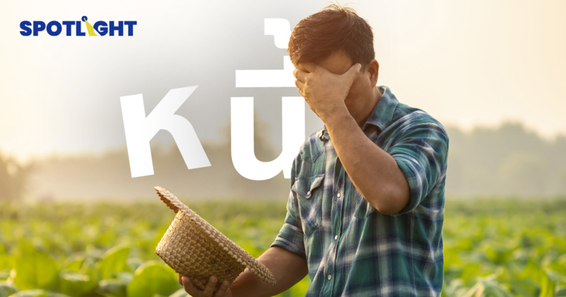 เกษตรกรไทยเป็นหนี้เรื้อรัง จ่ายได้แต่ดอกเบี้ย ทำงานจนแก่ก็ไม่หมดหนี้