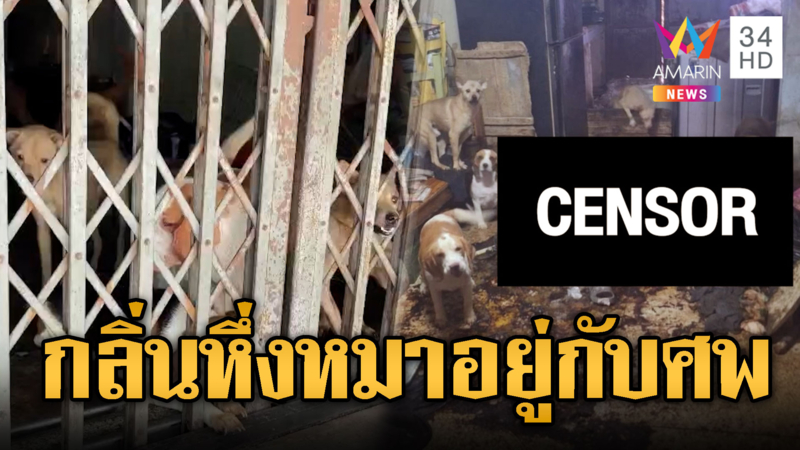 กลิ่นคลุ้งบางบอน ศพลุงถูกหมากัดแทะร่าง