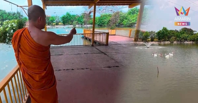 เซ่นปากแจ๋ว! วัดโพรงอากาศไล่ออกคนดูแลแพ ปมดรามาห้ามชาวบ้านพกอาหารปลา