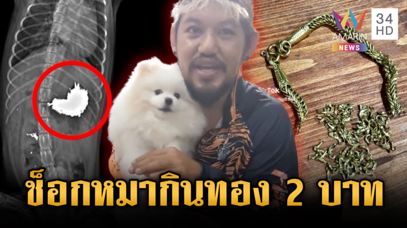 เจ้าของช็อกน้องหมาแสนน่ารัก กินสร้อยทอง 2 บาท