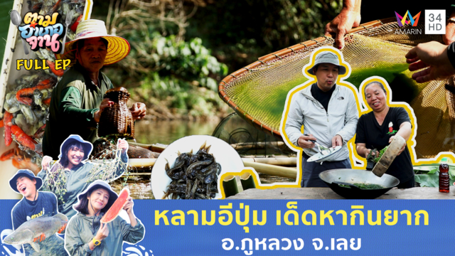 ลุยหาของอร่อยแม่น้ำเลย! วางตุ้มดัก 'อีปุ่ม' มาทำหลาม อ.ภูหลวง จ.เลย 