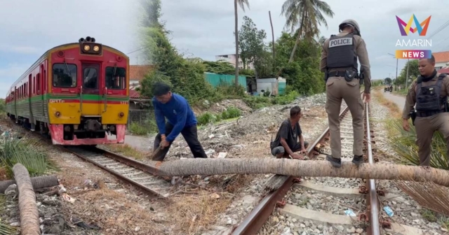 ด่วน! ต้นมะพร้าวยักษ์ ล้มทับรางรถไฟแม่กลอง-จนท.เร่งตัดเคลียร์