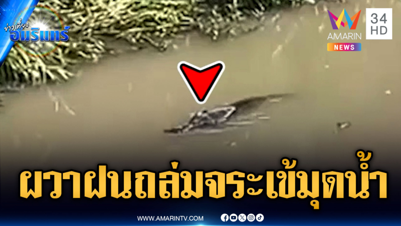 ฝนถล่มหนักหลายจังหวัด ชาวบ้านเสียวเจอจระเข้โผล่