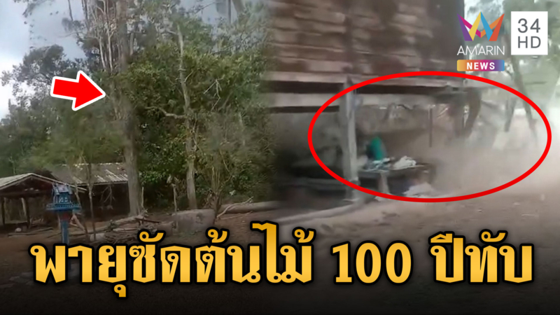 พายุถล่มต้นไม้อายุ 100 ปีโค่นทับบ้าน-ลมโหมเต็นท์แทบปลิว