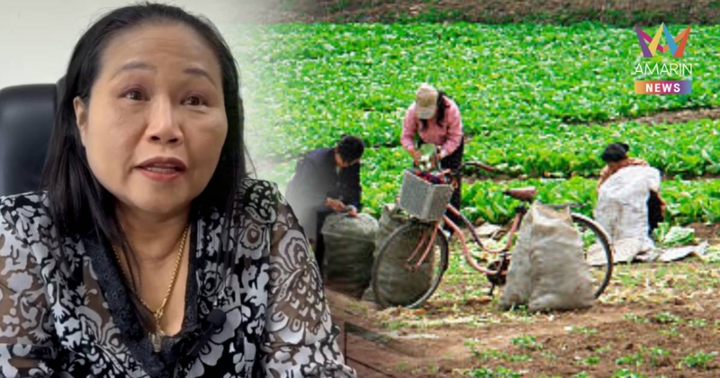เปิดสาเหตุ 4 จังหวัดถูกแบนส่งแรงงานเกาหลี เพราะ 6 รายทำพิษ