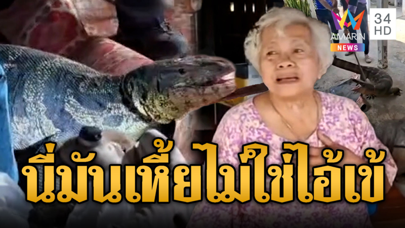 ยายผวานึกว่าจระเข้ ที่แท้ "ตัวเหี้ย" เข้าบ้าน
