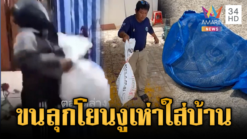 เล่นกันแรง! ชายปริศนาโยนถุงงูเห่าใส่บ้าน โยงปมซื้อรถ