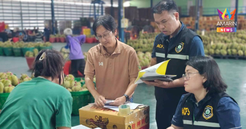 กรมวิชาการเกษตรเร่งสอบ "ทุเรียนลม" โผล่จีน ผนึก มกอช. งัดมาตรฐานบังคับ
