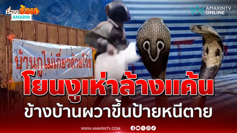 โยนงูเห่าล้างแค้น ลามป่วนข้างบ้านจนต้องขึ้นป้ายหนีตาย 