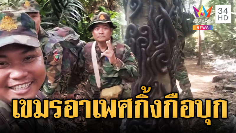 เขมรอาเพศหนัก! ทำเมนูกินงู เจอกิ้งกือบุกเต็มฐาน